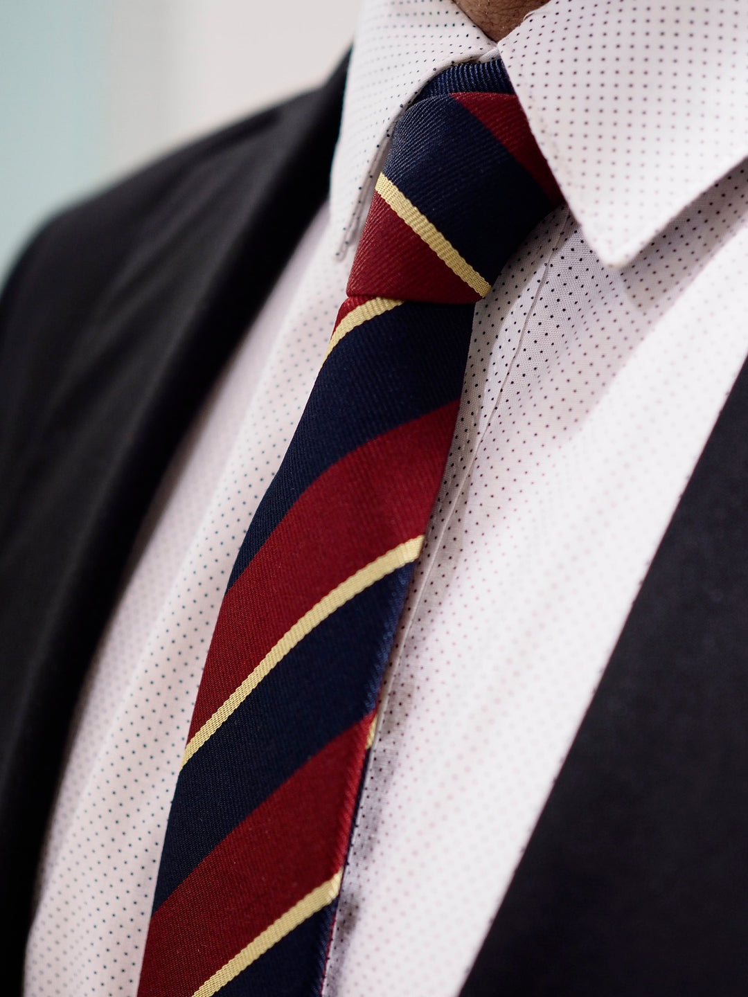 Lanvin Tie Silk | Red / Navy